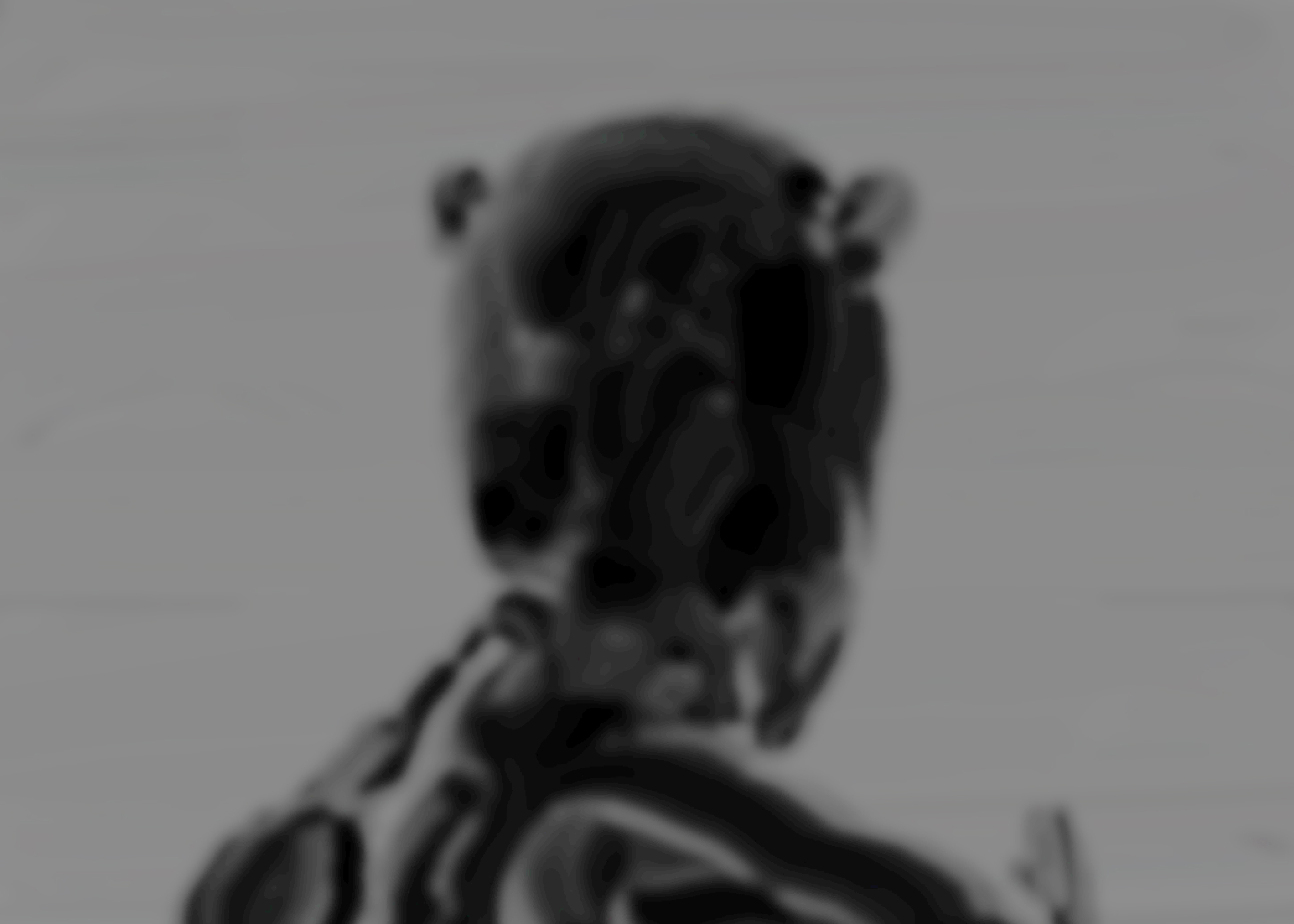 goods_file1